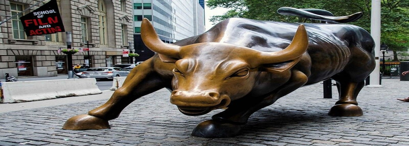 share market bull